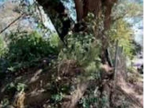 57 E Oak Street, Natchez, MS 39120