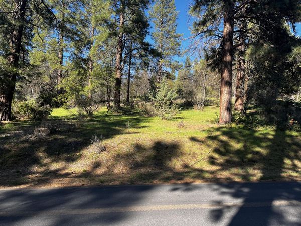 0 Merganser Road, Unit Lot 110, Klamath Falls, OR 97601
