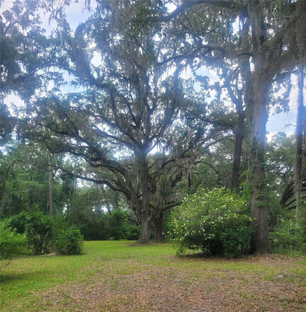 15016 NW 32nd Avenue, Newberry, FL 32669 Photo