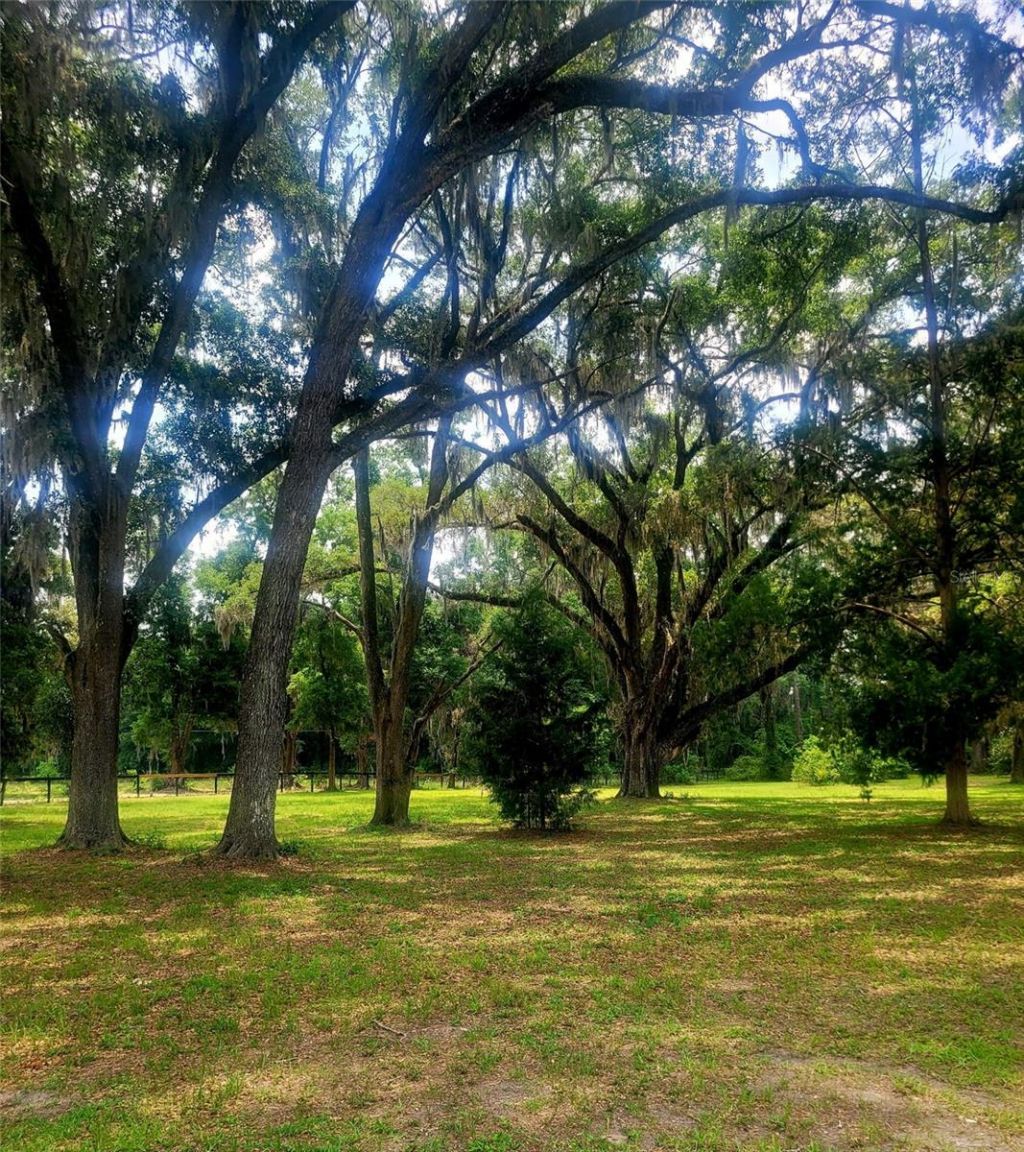 15016 NW 32nd Avenue, Newberry, FL 32669 Photo