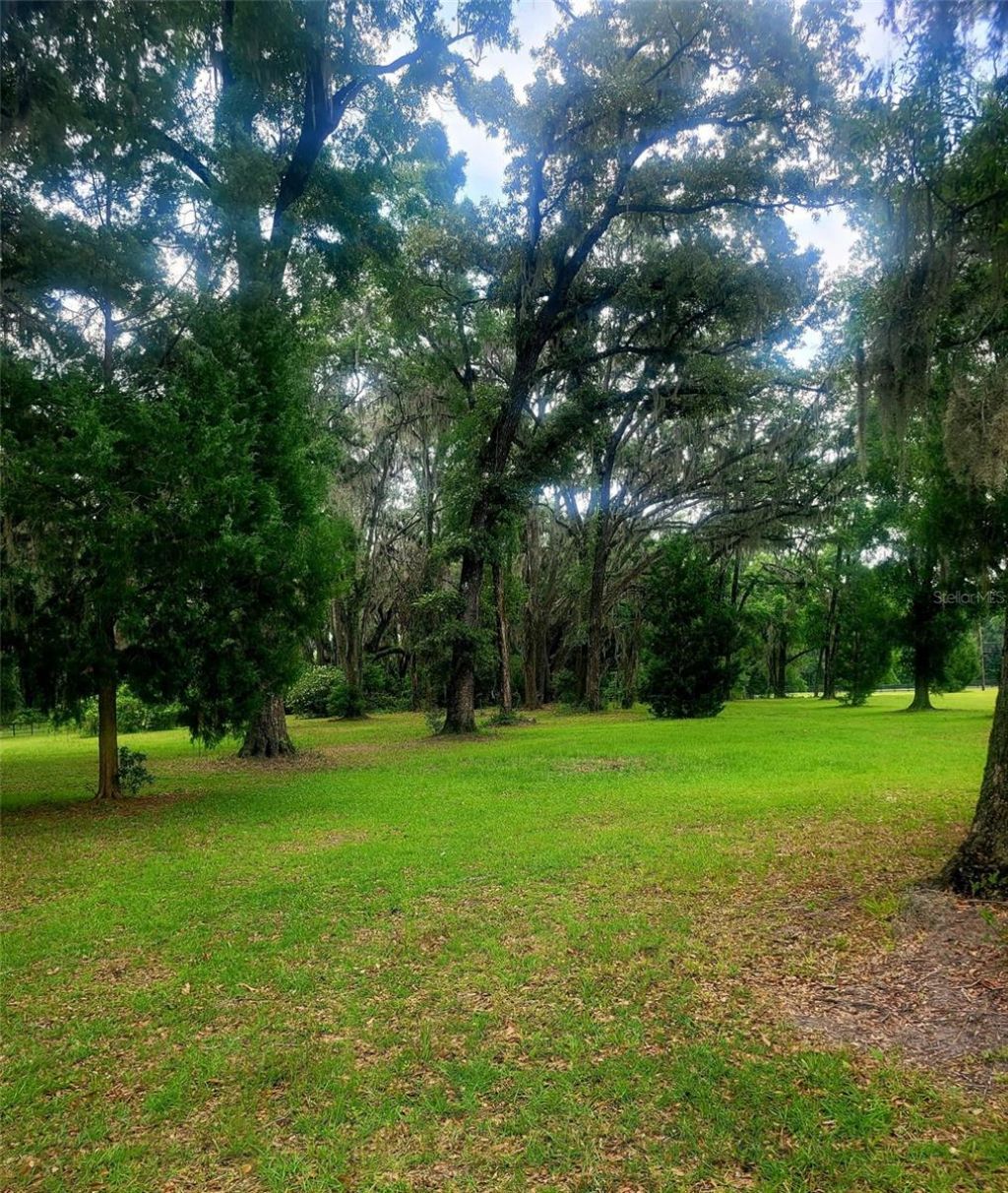 15016 NW 32nd Avenue, Newberry, FL 32669 Photo