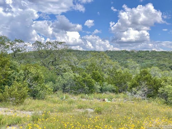 LOT 438 County Rd 2763, Mico, TX 78056