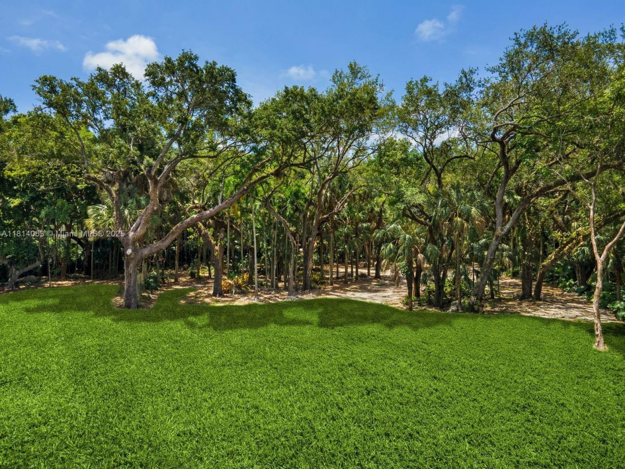 5355 Hammock Dr, Coral Gables, FL 33156 Photo