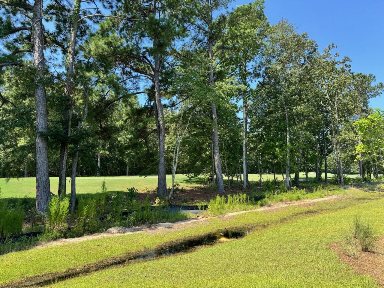 1000 Carolina Way Photo 41