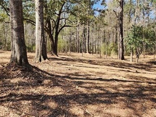 Lot 102 BLEU LAKE Drive, Covington, LA 70435