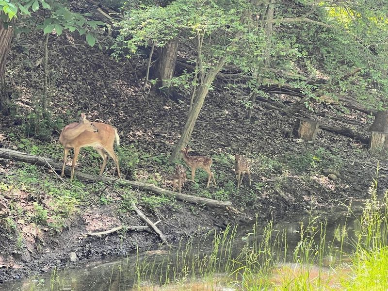 144 Hide-A-Way Road, Sugar Grove, OH 43155 Photo 13