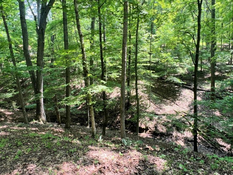 144 Hide-A-Way Road, Sugar Grove, OH 43155 Photo 3