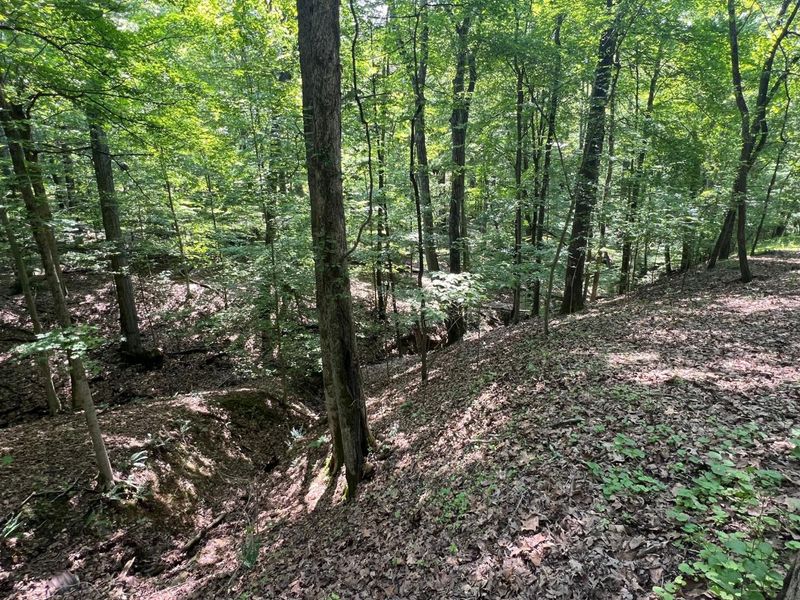 144 Hide-A-Way Road, Sugar Grove, OH 43155 Photo 4