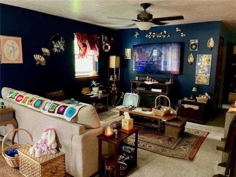 1088 Buena Vista Drive, Akron, OH 44319 Photo 12