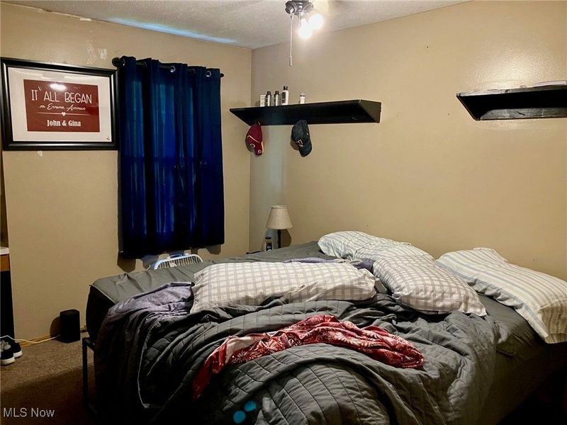 1088 Buena Vista Drive, Akron, OH 44319 Photo 20