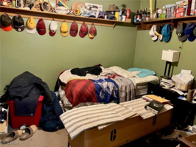 1088 Buena Vista Drive, Akron, OH 44319 Photo 23