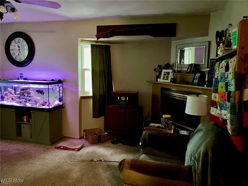 1088 Buena Vista Drive, Akron, OH 44319 Photo 25