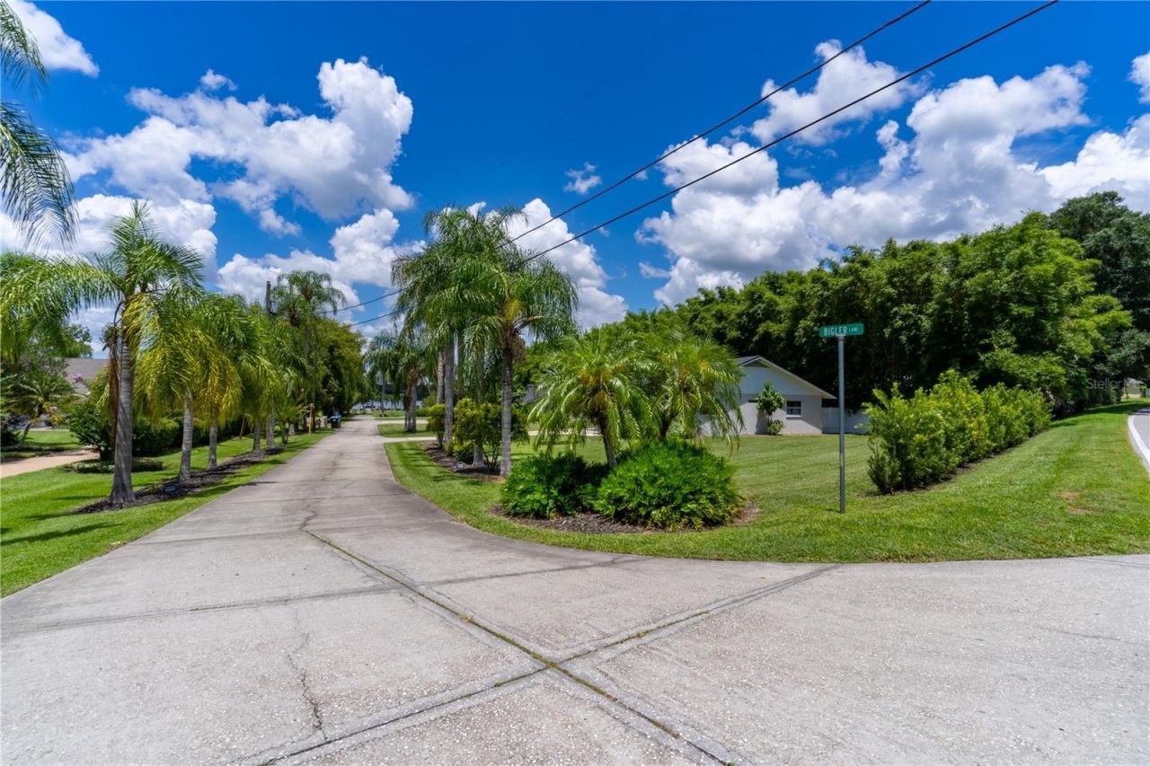 4634 Bigler Lane, Mount Dora, FL 32757 Photo