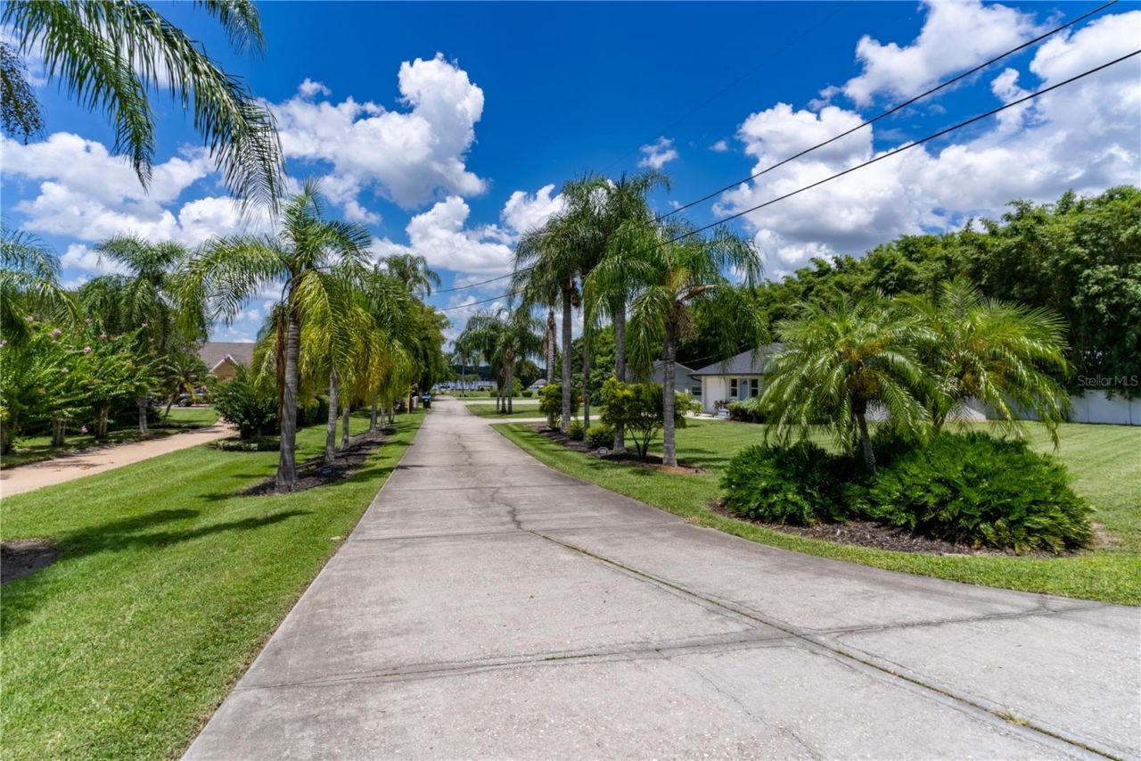 4634 Bigler Lane, Mount Dora, FL 32757 Photo