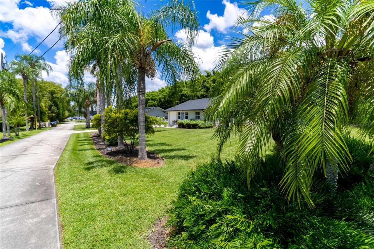 4634 Bigler Lane, Mount Dora, FL 32757 Photo