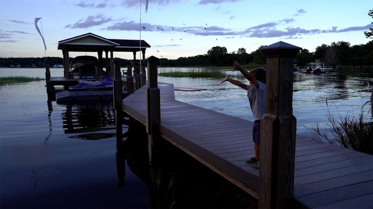 4634 Bigler Lane, Mount Dora, FL 32757 Photo