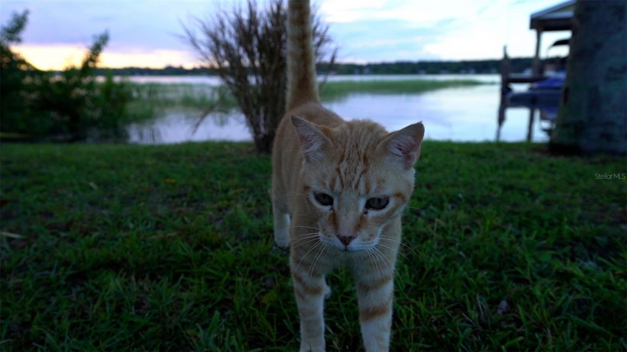 4634 Bigler Lane, Mount Dora, FL 32757 Photo