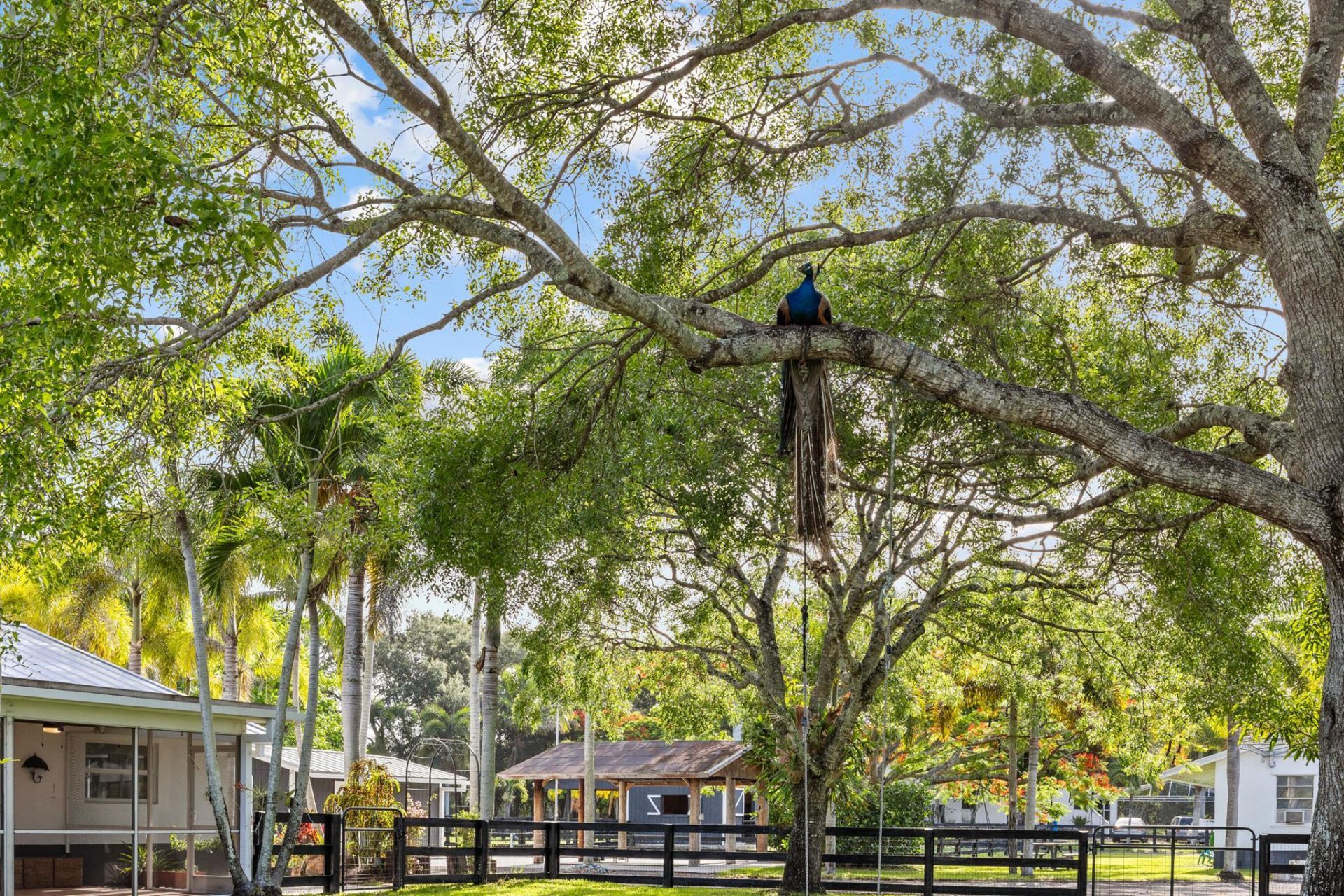 10782 58th Road S, Lake Worth, FL 33449 Photo