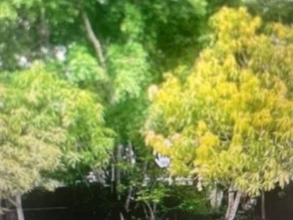 901 NW 24th Ave, Fort Lauderdale, FL 33311