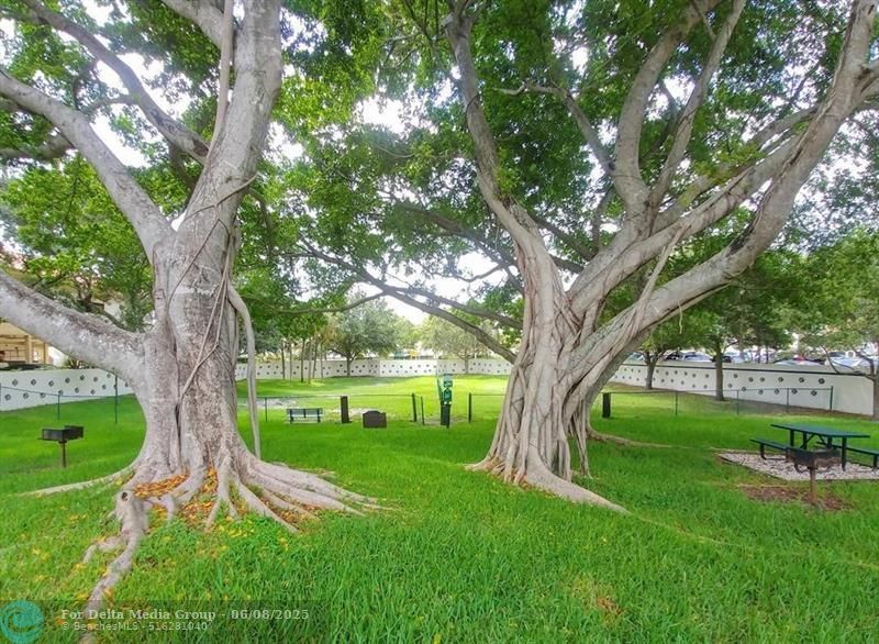 301 Olivewood Pl, Unit 0130, Boca Raton, FL 33431 Photo