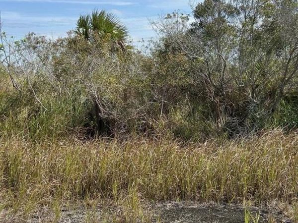 2995 Ell Place SW, Palm Bay, FL 32908