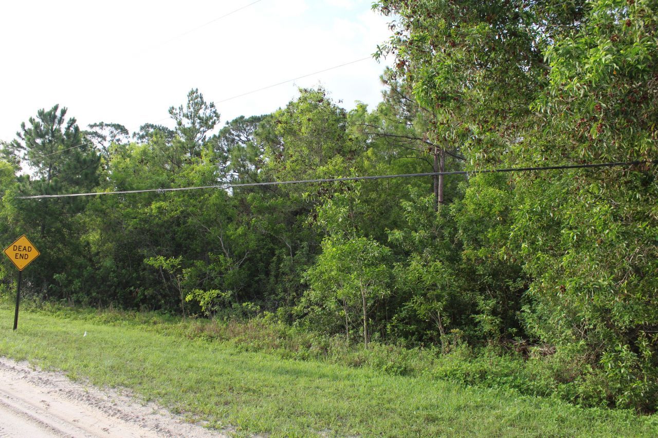 ''17395'' 94th Street N, Loxahatchee, FL 33470 Photo