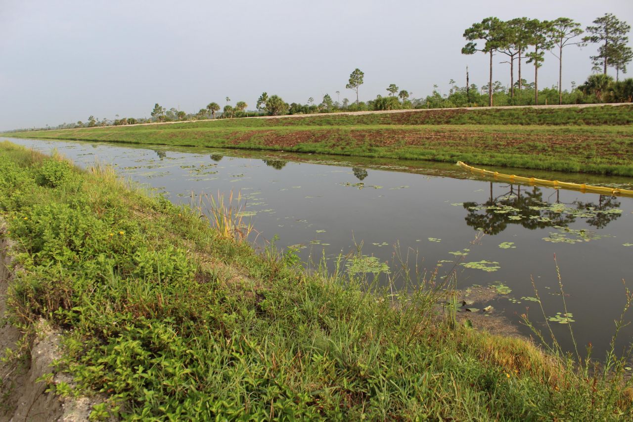 ''17395'' 94th Street N, Loxahatchee, FL 33470 Photo