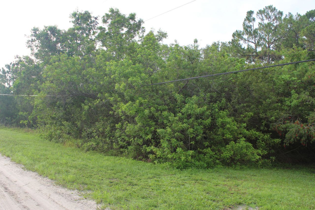 ''17395'' 94th Street N, Loxahatchee, FL 33470 Photo