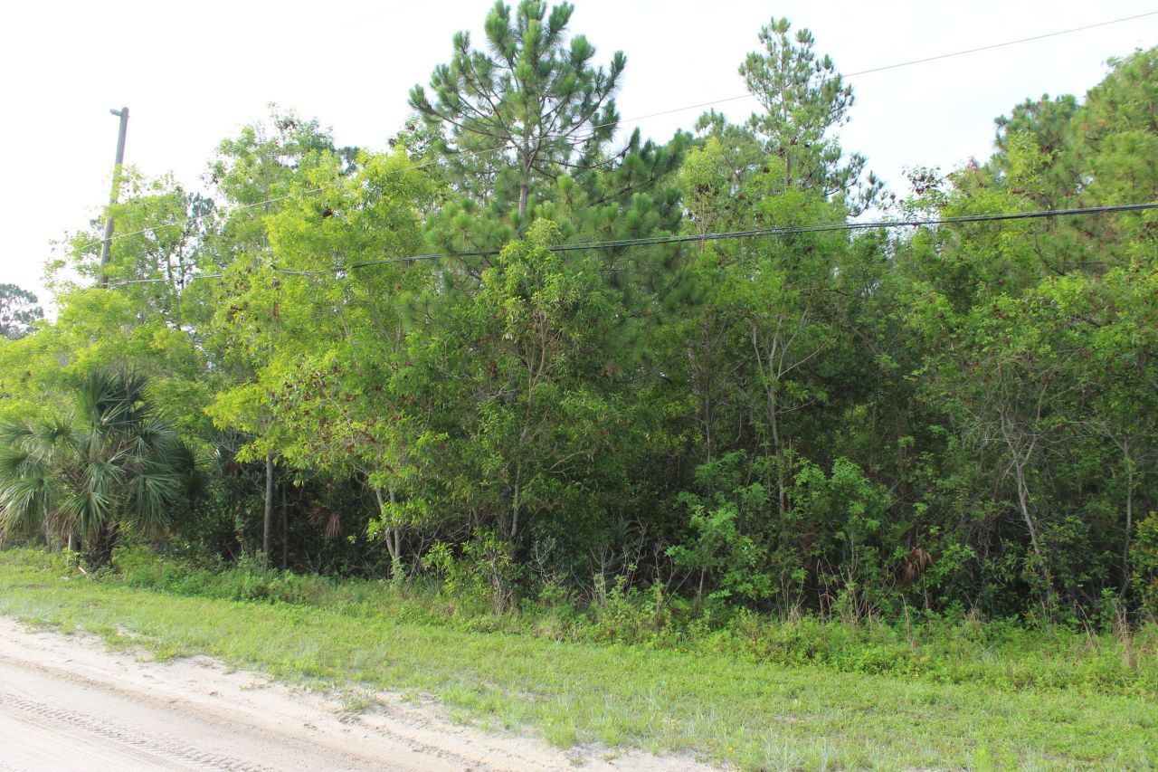 ''17395'' 94th Street N, Loxahatchee, FL 33470 Photo