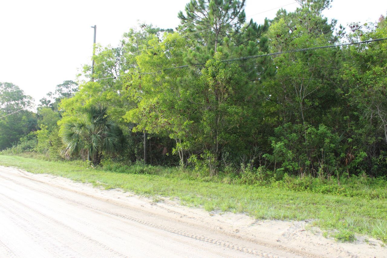 ''17395'' 94th Street N, Loxahatchee, FL 33470 Photo