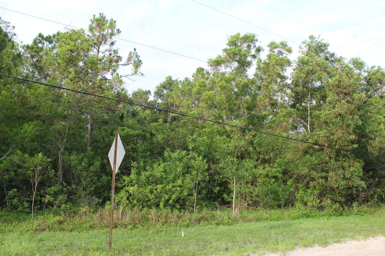 ''17395'' 94th Street N, Loxahatchee, FL 33470 Photo