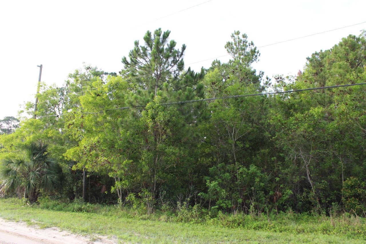 ''17395'' 94th Street N, Loxahatchee, FL 33470 Photo