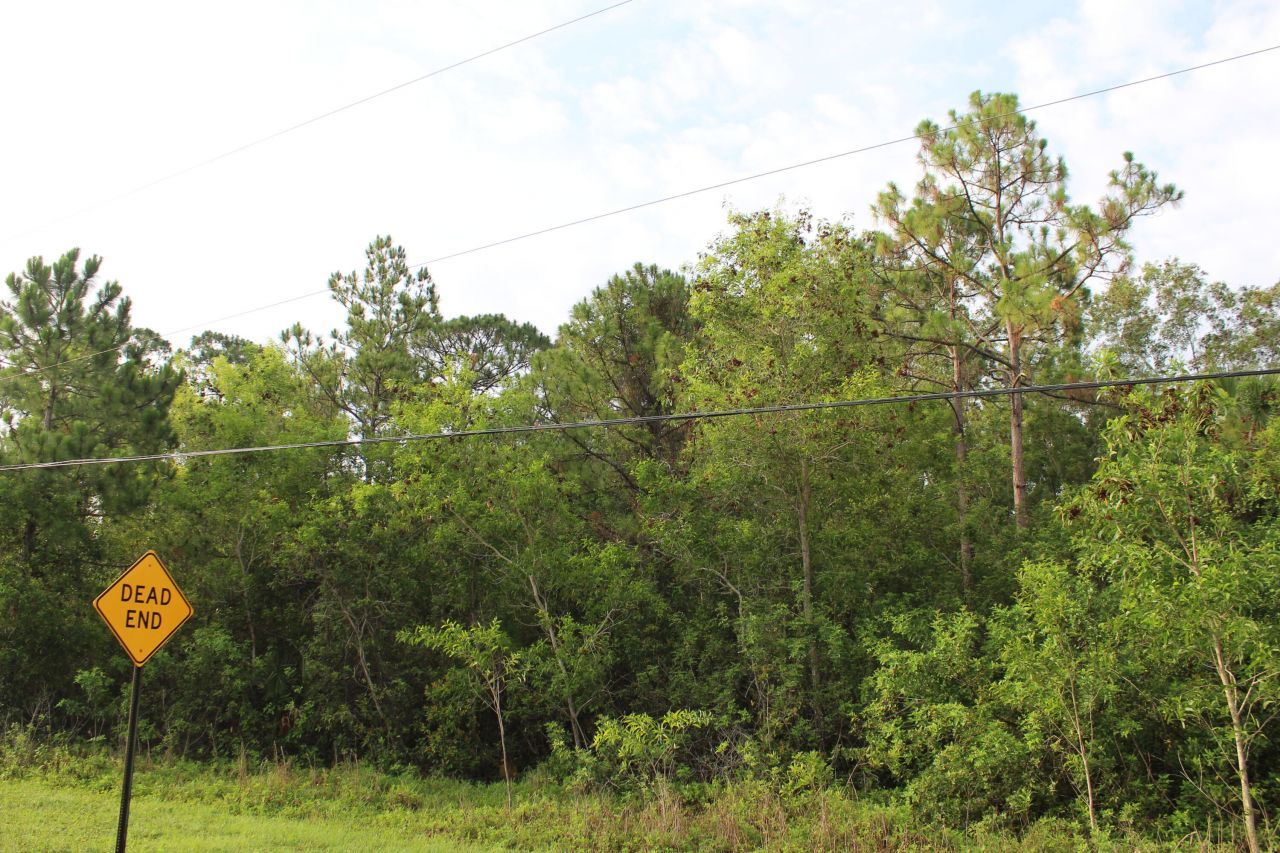 ''17395'' 94th Street N, Loxahatchee, FL 33470 Photo