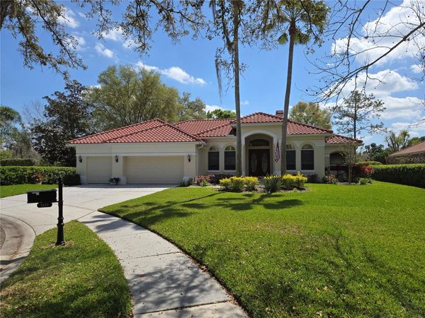 9127 WOODRIDGE RUN DRIVE, TAMPA, FL 33647