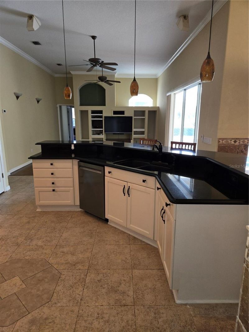 9127 Woodridge Run Drive, Tampa, FL 33647 Photo