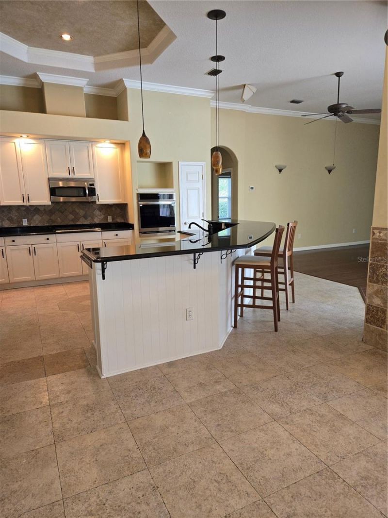 9127 Woodridge Run Drive, Tampa, FL 33647 Photo