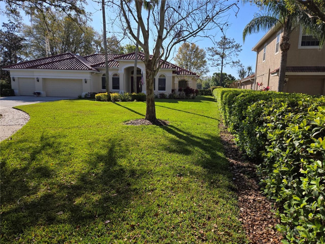 9127 Woodridge Run Drive, Tampa, FL 33647 Photo