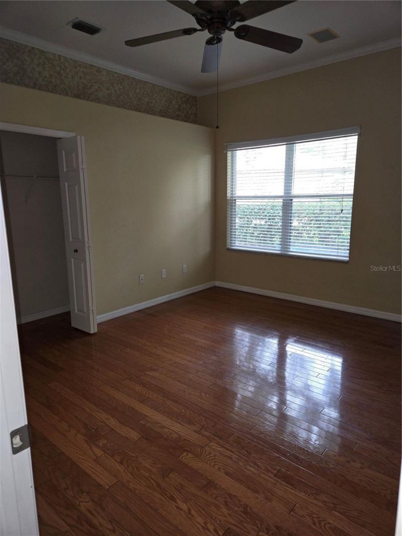 9127 Woodridge Run Drive, Tampa, FL 33647 Photo