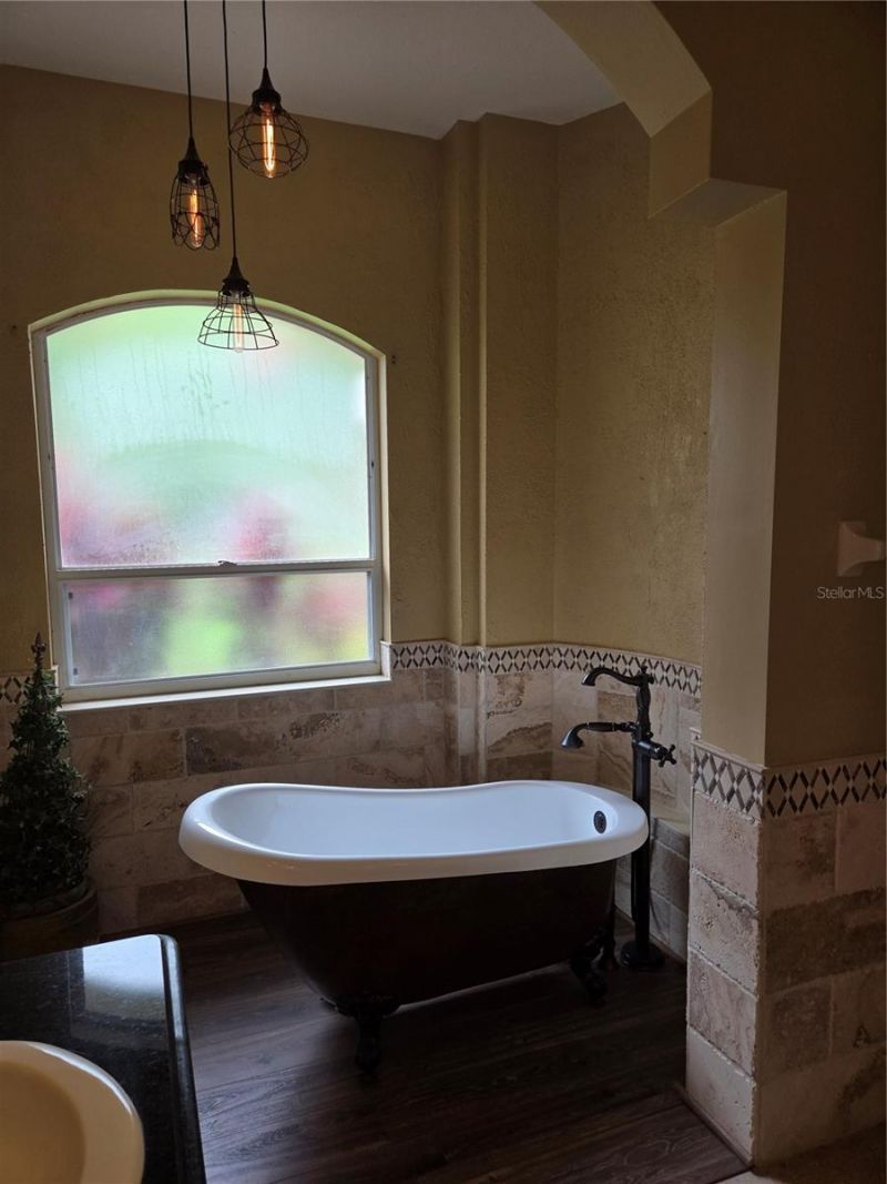 9127 Woodridge Run Drive, Tampa, FL 33647 Photo