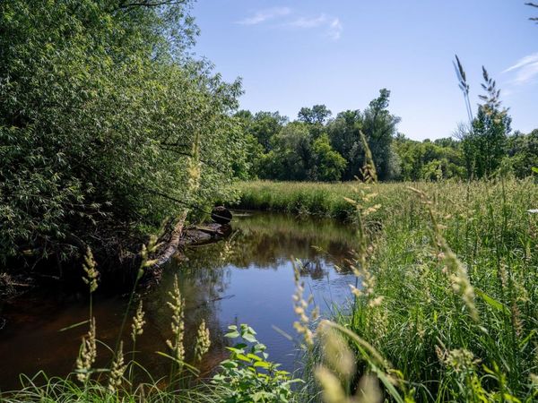 TBD 6th Street, Randall, MN 56475