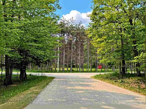 5945 Lodgepole, Harbor Springs, MI 49740