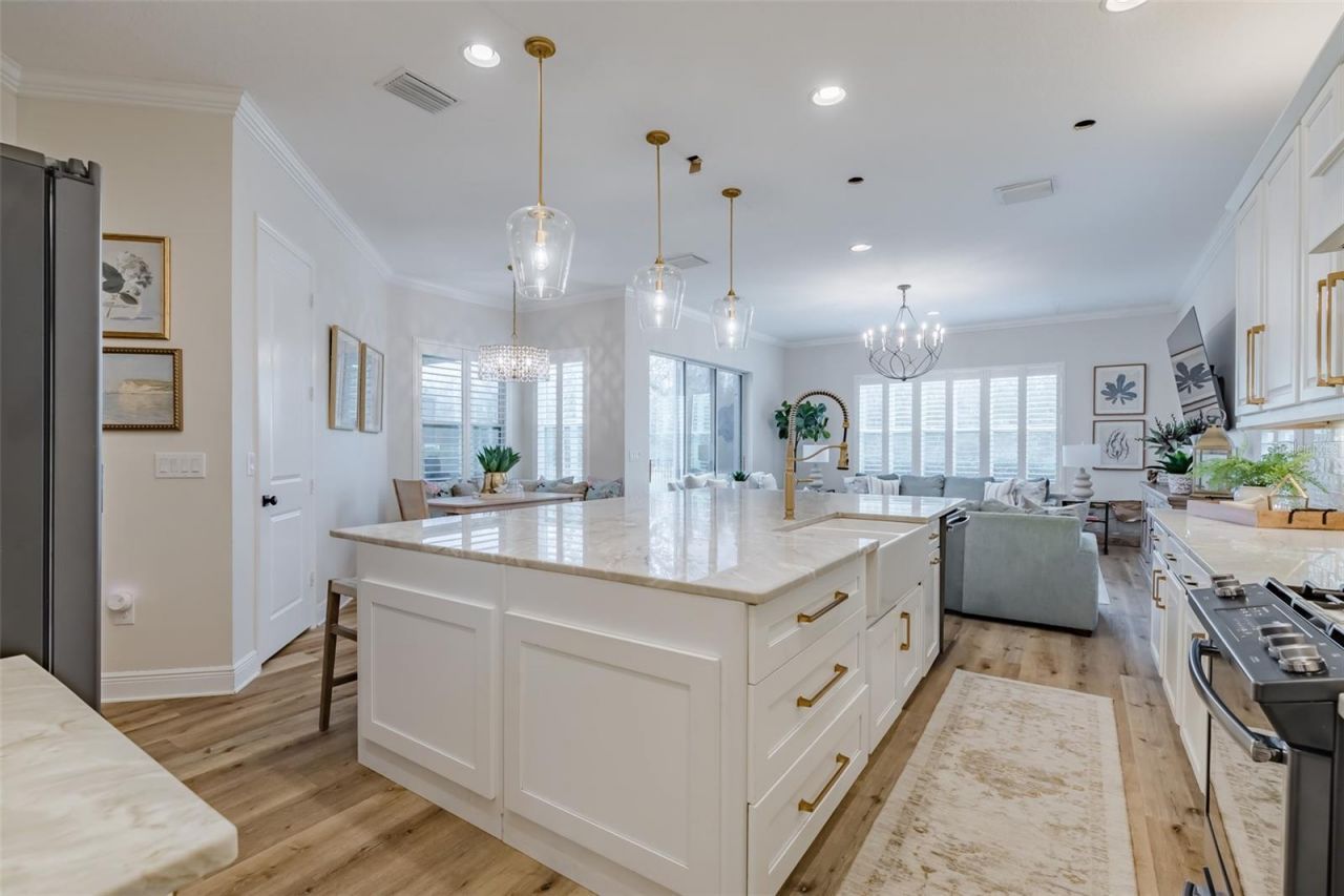 2388 Oakwood Preserve Drive, Wesley Chapel, FL 33543 Photo