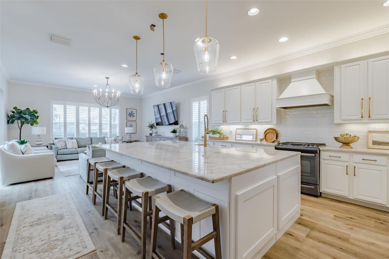 2388 Oakwood Preserve Drive, Wesley Chapel, FL 33543 Photo