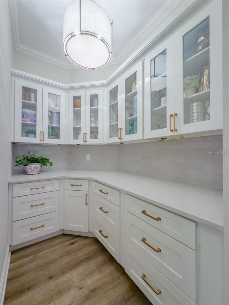 2388 Oakwood Preserve Drive, Wesley Chapel, FL 33543 Photo