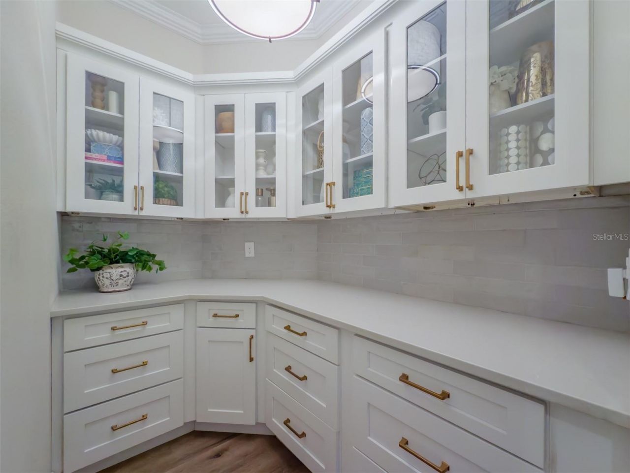 2388 Oakwood Preserve Drive, Wesley Chapel, FL 33543 Photo