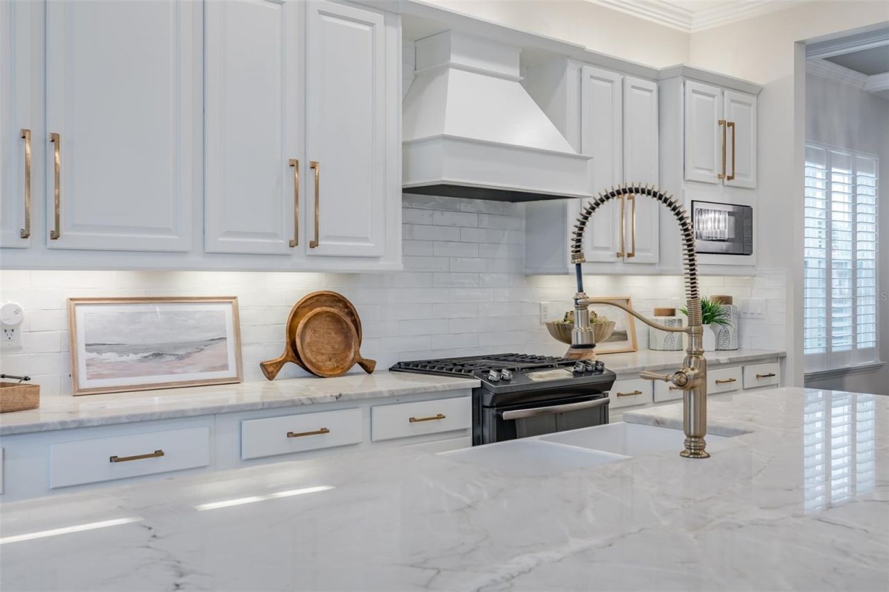 2388 Oakwood Preserve Drive, Wesley Chapel, FL 33543 Photo