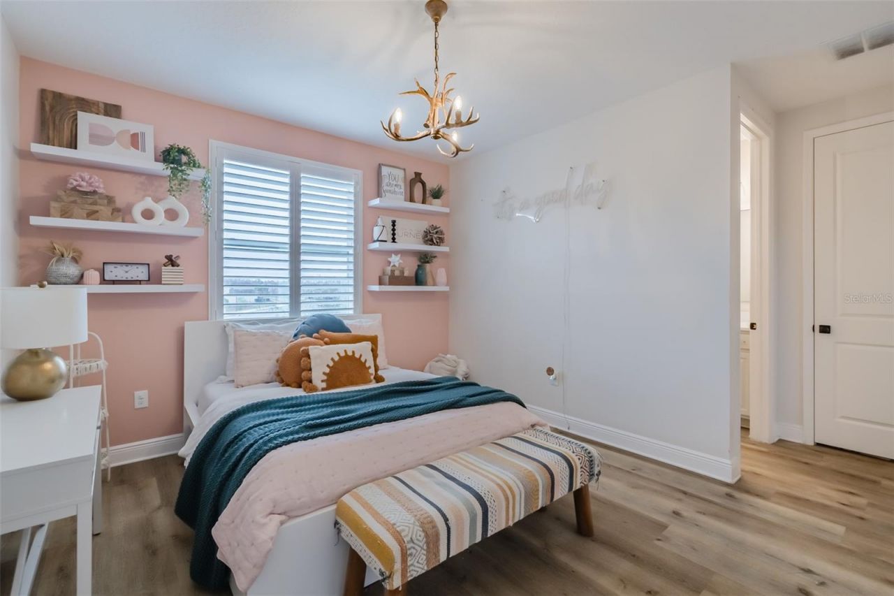 2388 Oakwood Preserve Drive, Wesley Chapel, FL 33543 Photo