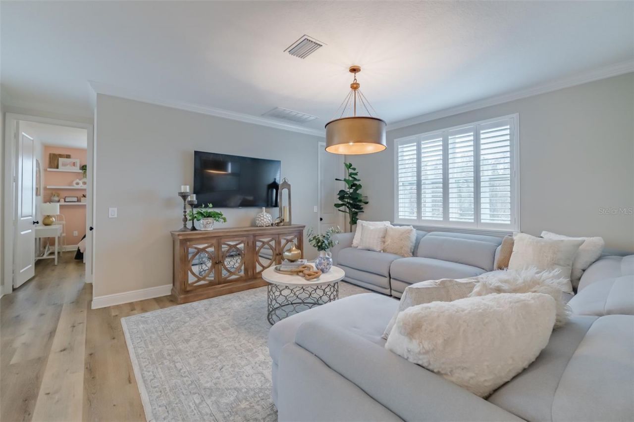 2388 Oakwood Preserve Drive, Wesley Chapel, FL 33543 Photo