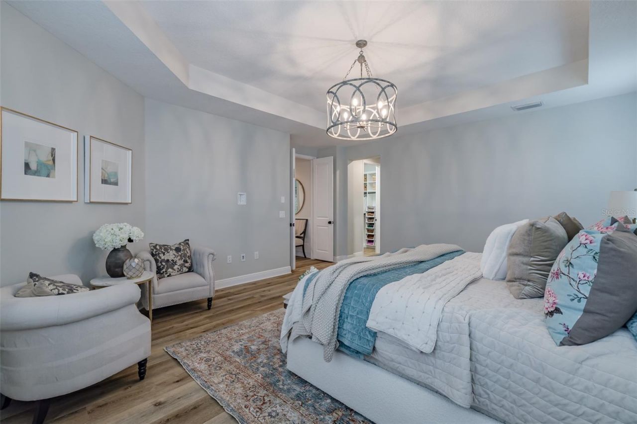 2388 Oakwood Preserve Drive, Wesley Chapel, FL 33543 Photo