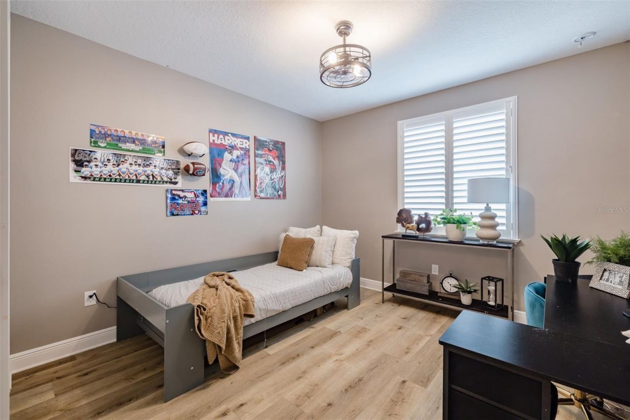 2388 Oakwood Preserve Drive, Wesley Chapel, FL 33543 Photo